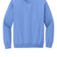 Carolina Blue