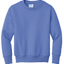 Carolina Blue