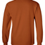 Texas Orange