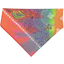 Tye-Dye Paisley