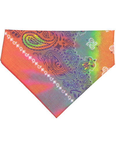 Tye-Dye Paisley