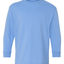 Carolina Blue