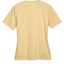 SPORT VEGAS GOLD