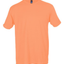 Cantaloupe