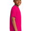 Pink Raspberry