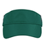 FOREST CARBON